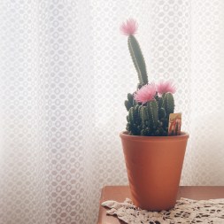 Processed with VSCO with hb1 preset