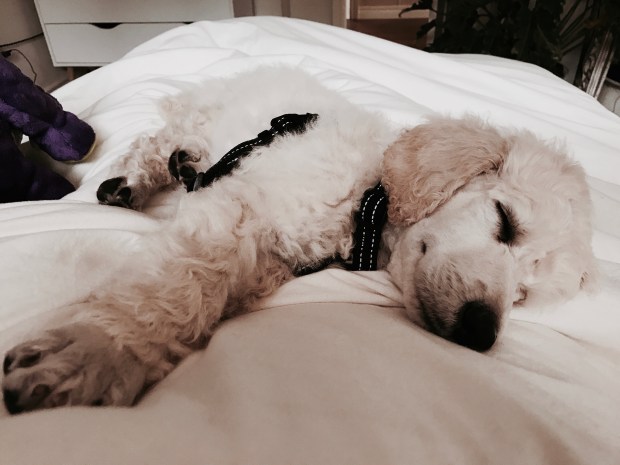 Processed with VSCO with m5 preset