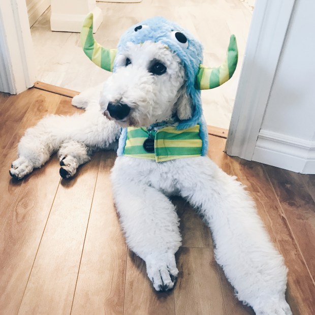 Processed with VSCO with hb1 preset