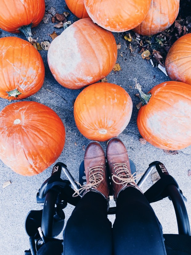 Processed with VSCO with hb1 preset